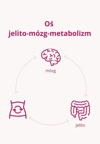 Omni Biotic Metabolic, saszetki z proszkiem, 3 g x 30 szt.