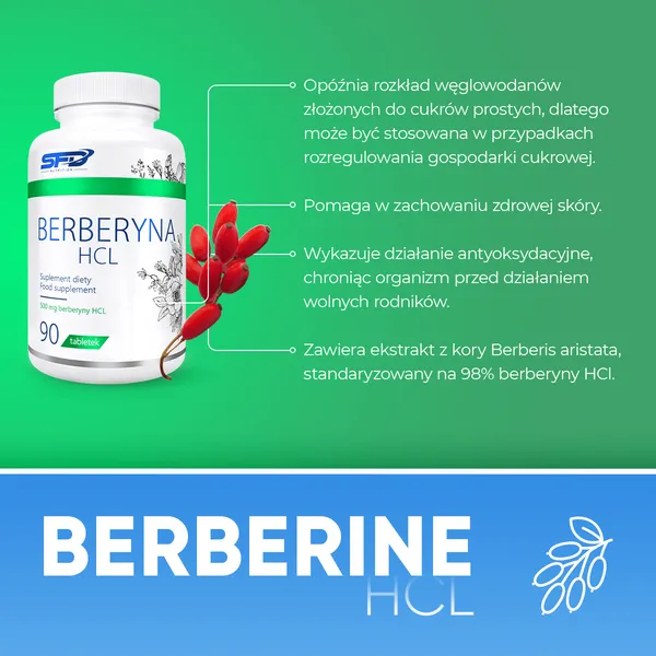 SFD Berberyna HCl, tabletki, 90 szt.