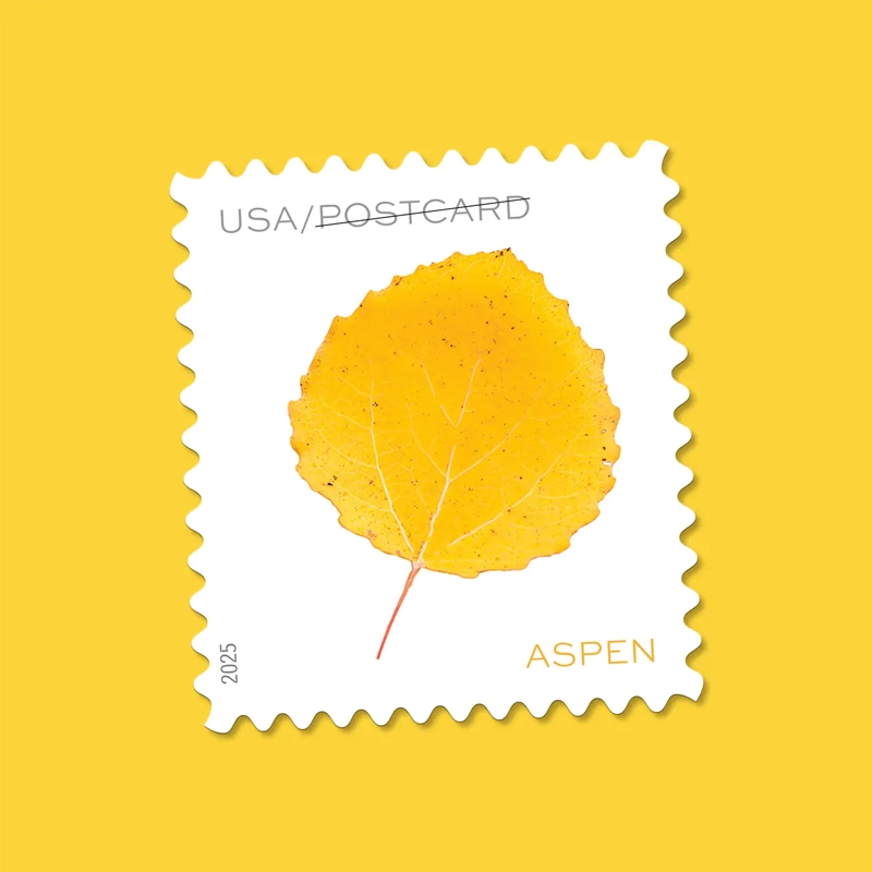 2025 Vibrant Leaves Postcard Stamps, Sheetof 20 Postcard |Multiple Stamp Designs and Formats