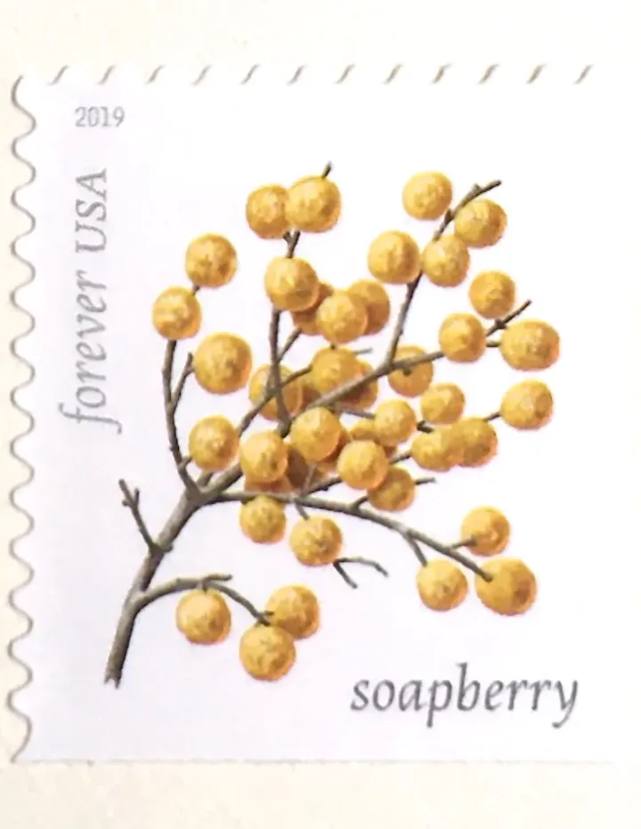 (2019) USPS Winter Berries First Class Forever Postage Stamps